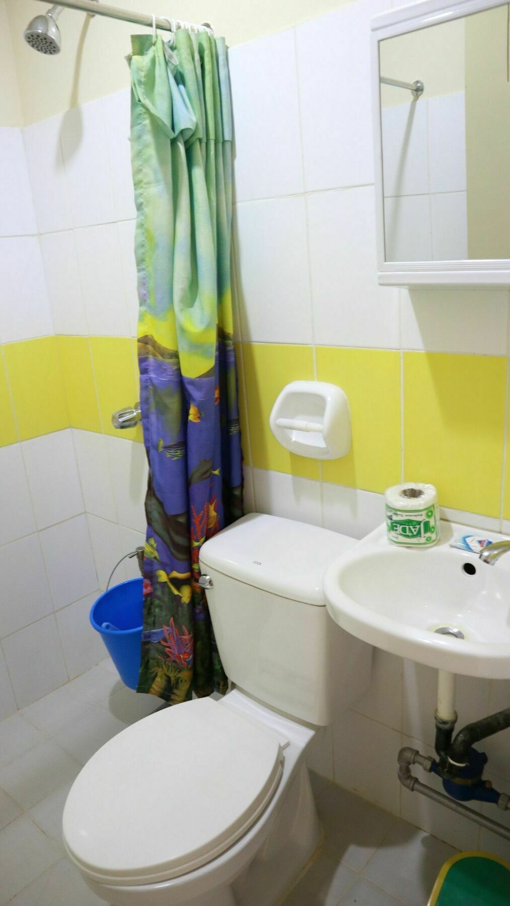 C Tower Studio Apartments Puerto Princesa Exterior foto